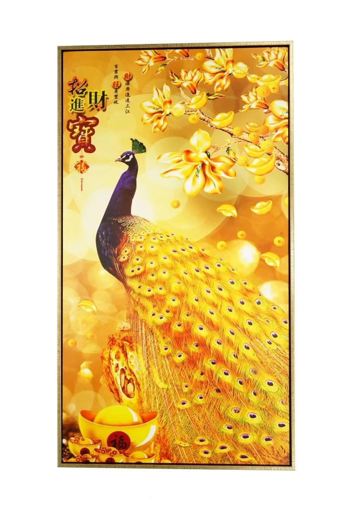 旺财金雀1-683x1024.jpg.webp